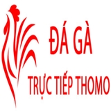 The "Đá Gà Trực Tiếp Thomo Hôm Nay" user's logo