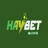 The "HAYBET" user's logo