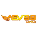 The "AEV99 LI" user's logo