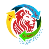 The "alldetailing simba" user's logo