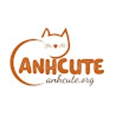 The "Ảnh Cute Dễ Thương" user's logo