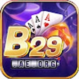 The "b29 " user's logo