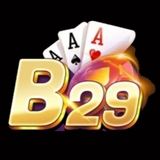 The "B29 " user's logo