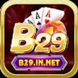 The "B29 Club" user's logo