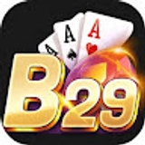 The "b29 skin" user's logo