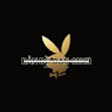The "Bản Đồ Dân Chơi" user's logo