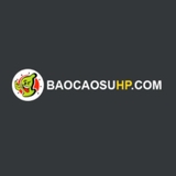 The "Shop Baocaosuhp Hải Phòng chuyên Sextoys Đồ chơi tình dục 247" user's logo