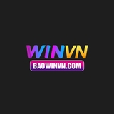 The "baowinvncom" user's logo