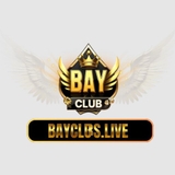 The "BAYCLUB" user's logo