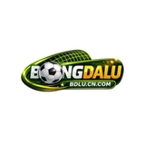 The "Bdlu" user's logo