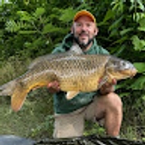 David Proko