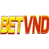 The "betvndaeorg" user's logo