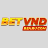 The "BetVND" user's logo
