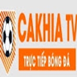 The "bickellfoundation org lua dao" user's logo