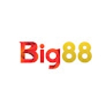 The "BIG88 ?️ Link Trang Chủ BIG88 com" user's logo