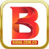 The "big88 com co" user's logo