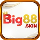 The "big88skin" user's logo