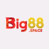 The "Nhà Cái BIG88" user's logo