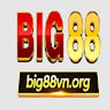 The "BIG88" user's logo