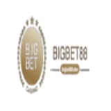 The "Bigbet88 dev" user's logo