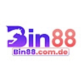 The "BIN88 ✔️ Trang chủ chính thức giải trí BIN88" user's logo