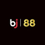 The "Bj886 store" user's logo