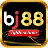 The "Bj88 schule" user's logo