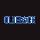 The "Bluelockchap com" user's logo