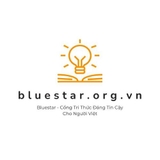 The "Bluestar Org" user's logo