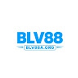 The "Blv88a org" user's logo