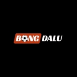 The "2026net bongdalu" user's logo