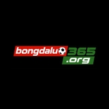The "Bongdalu" user's logo