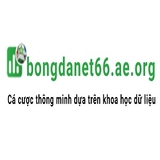 The "BongdaNET 66 Ae Org" user's logo