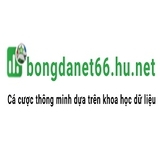 The "BongdaNET 66 Hu Net" user's logo