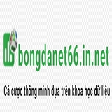 The "BongdaNET 66 In Net" user's logo