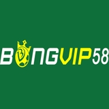 The "Bongvip - BÓNG VIP Tặng 3.888.000 VNĐ Cho Tân Thủ Nạp đầu" user's logo