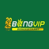 The "bongvip79net" user's logo