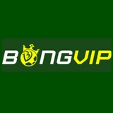 The "BONGVIP – “Thiên Đường” Cá Cược Online Hàng Đầu 2024" user's logo