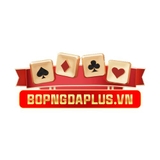 The "bopngdaplusvn" user's logo
