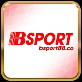 The "bsport" user's logo