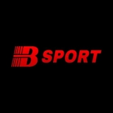 The "bsportimmo" user's logo