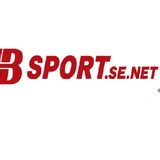 The "Nhà cái Bsport" user's logo