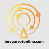 The "BUYPARROTONLINE COM" user's logo