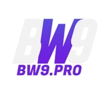 The "BW9 Pro" user's logo