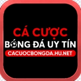 The "Cá cược bóng đá" user's logo