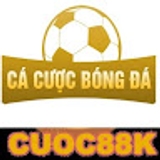 The "Cá cược bóng đá" user's logo