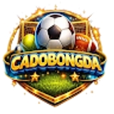 The "Cá Độ Bóng Đá" user's logo