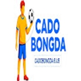 The "Cá độ bóng đá" user's logo