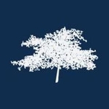 The "Calm Tree Therapy" user's logo