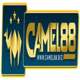 The "camel88biz" user's logo